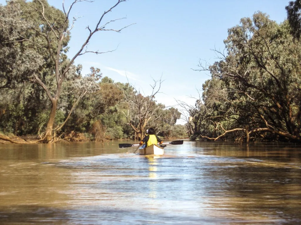 Kayaking and paddling on the Warrego River Cunnamulla