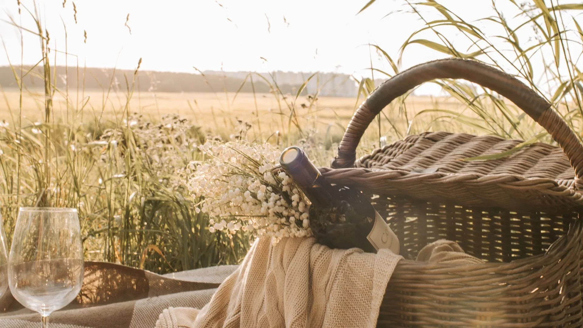 Picnic basket and wine glass among outback wildflowers at golden hour near Cunnamulla